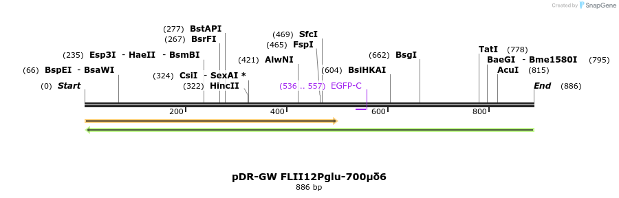 34297_map