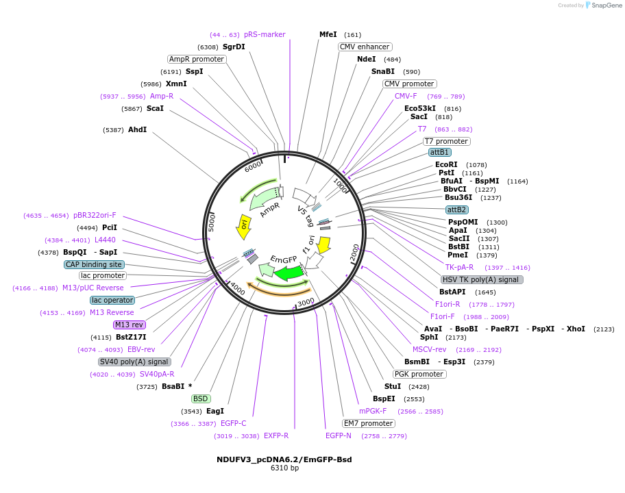 343000_map