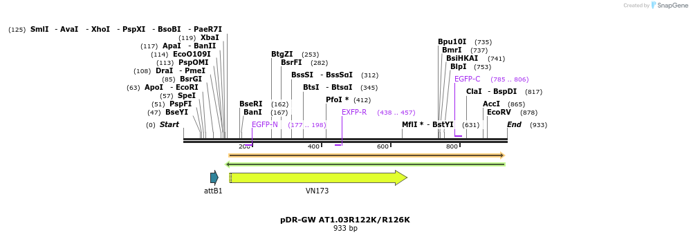 34302_map