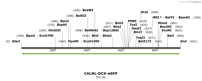 34305_map