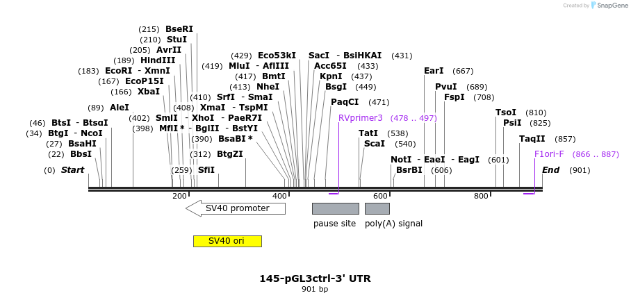 34307_map