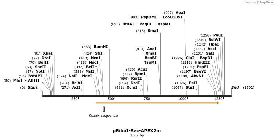 343071_map