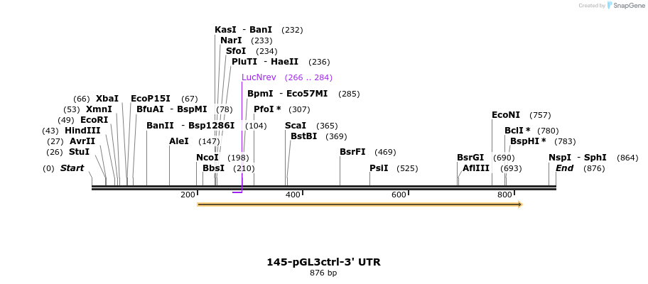 34308_map