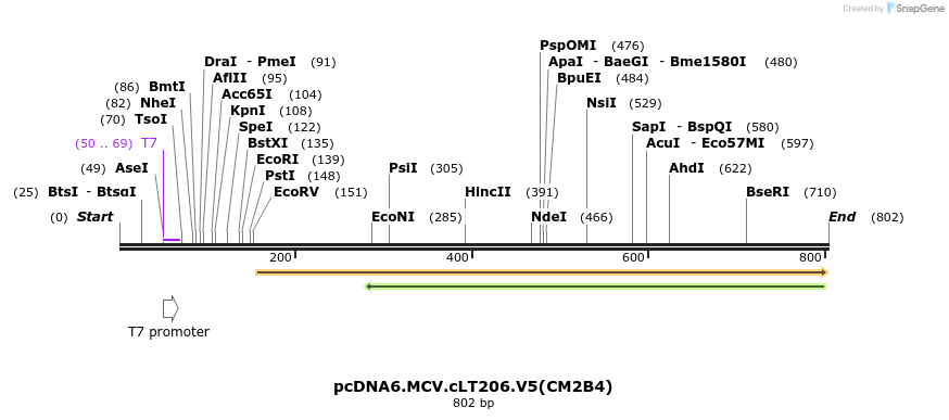 34310_map