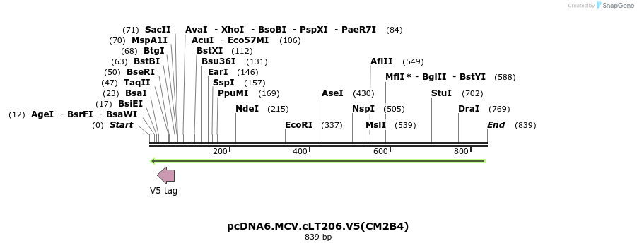 34311_map