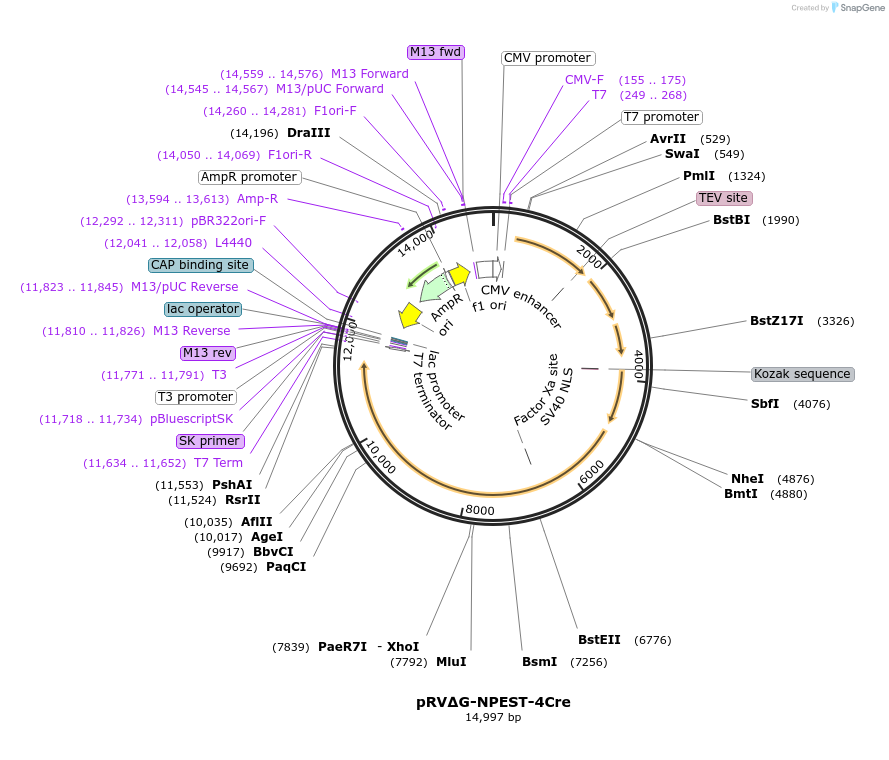 343145_map