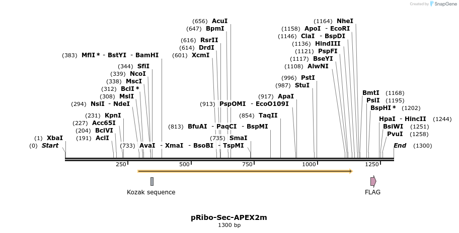 343155_map
