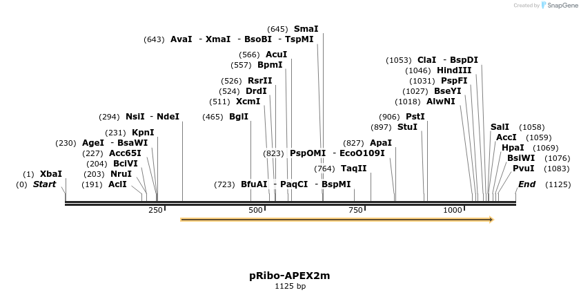 343166_map