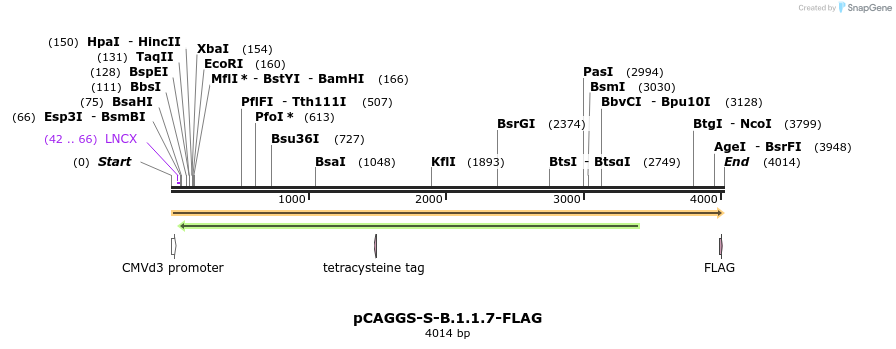 343168_map