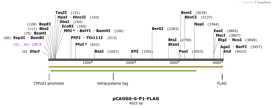 343187_map
