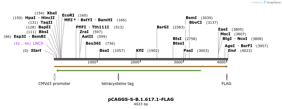 343192_map