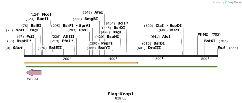 34320_map