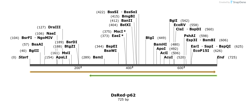 34321_map