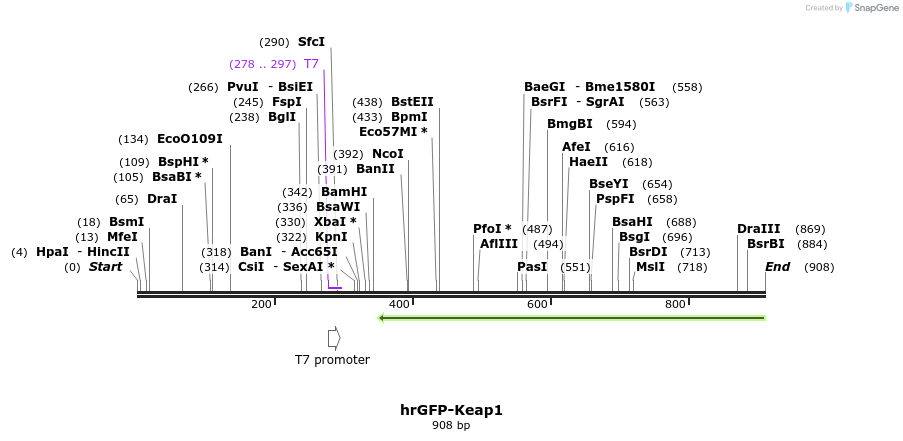 34323_map