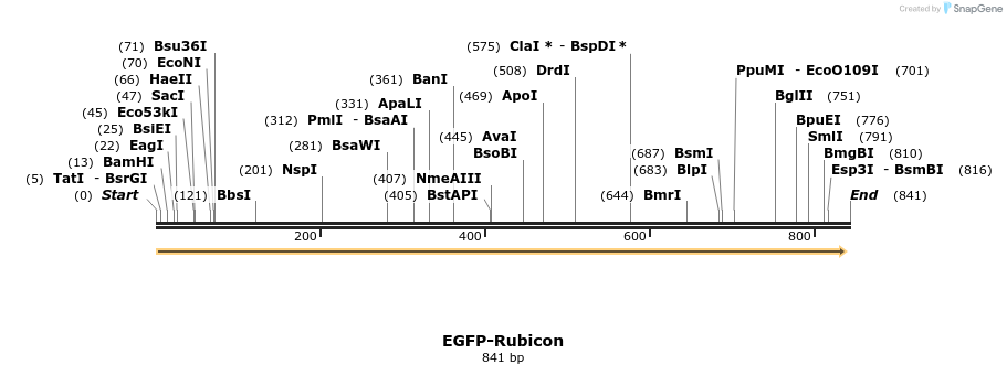 34326_map