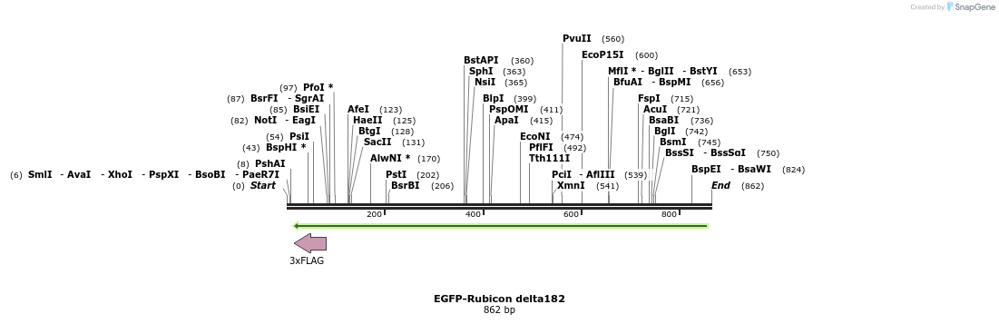 34329_map