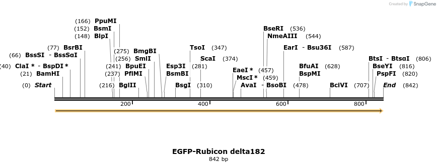 34330_map