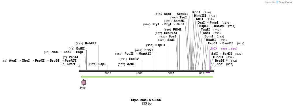 34333_map