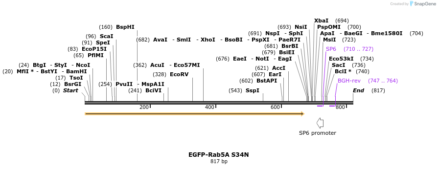 34334_map