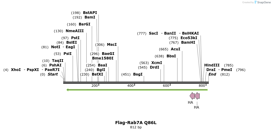 34339_map