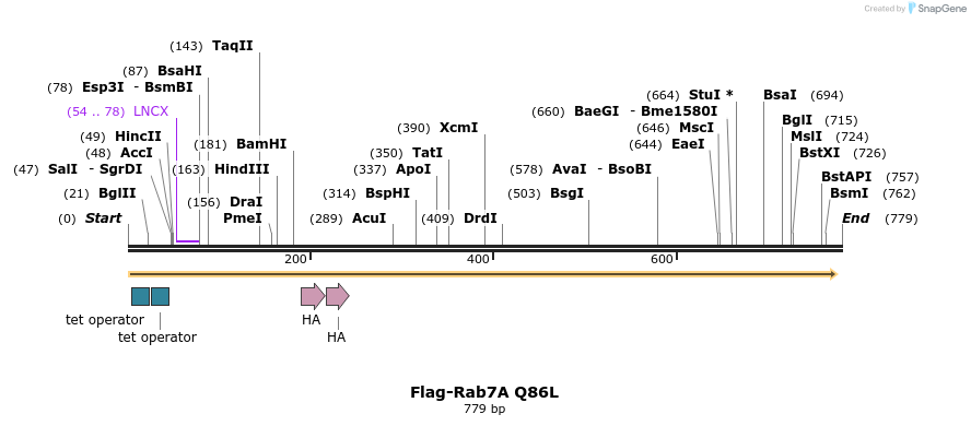 34340_map