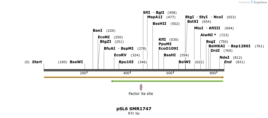 34344_map