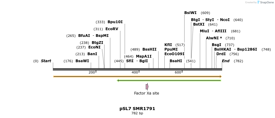 34346_map