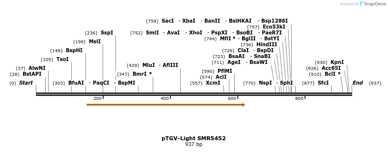 34349_map