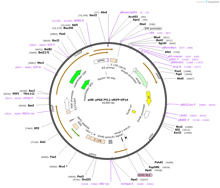 343507_map