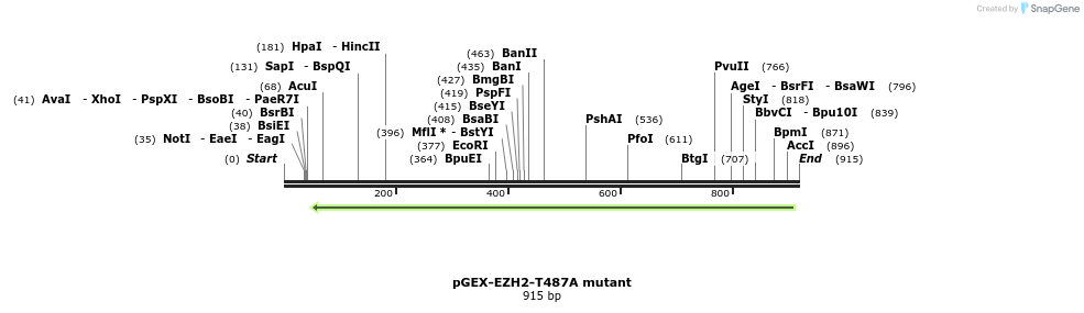 34364_map