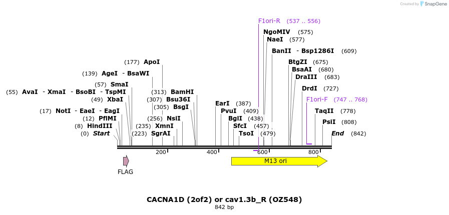 34372_map