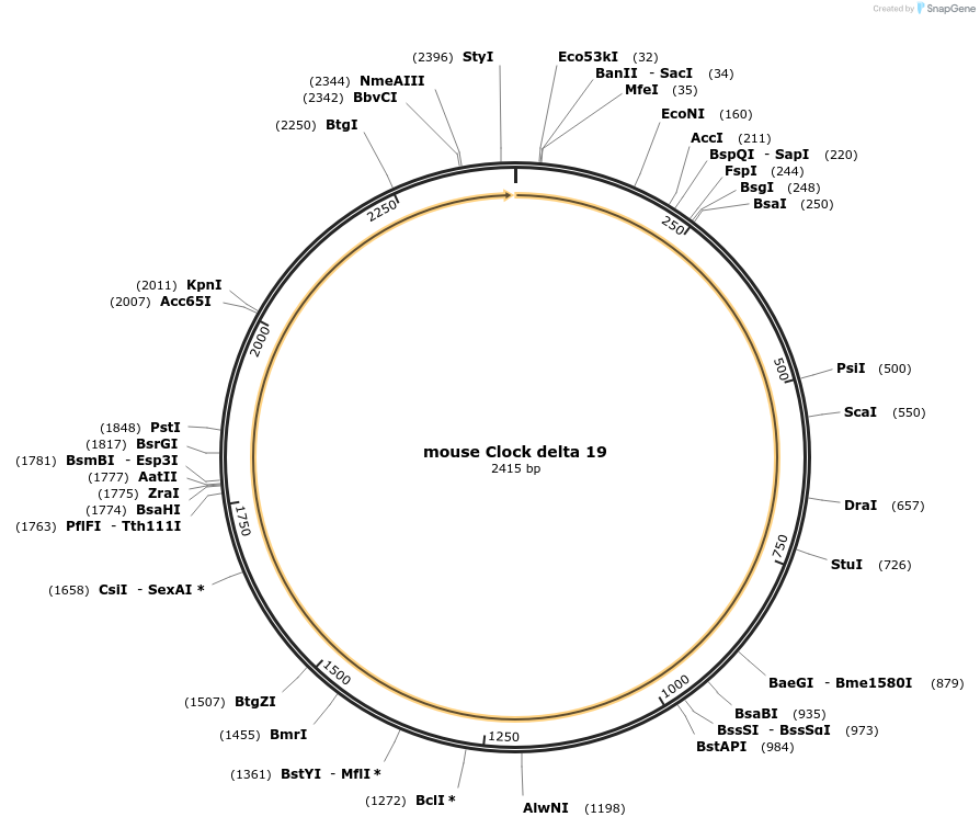 343728_map