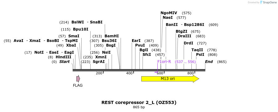 34377_map