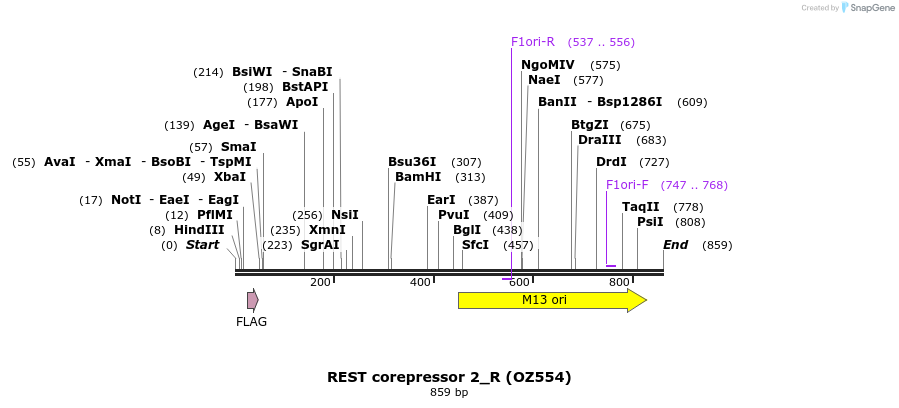 34378_map