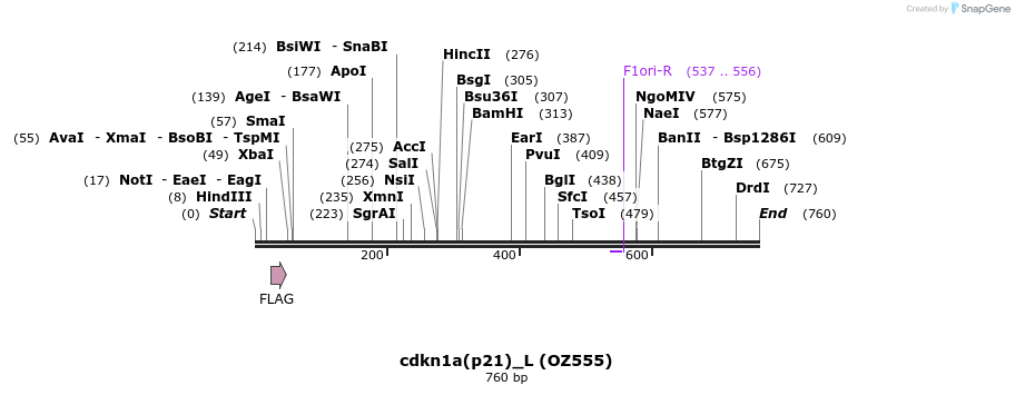 34379_map