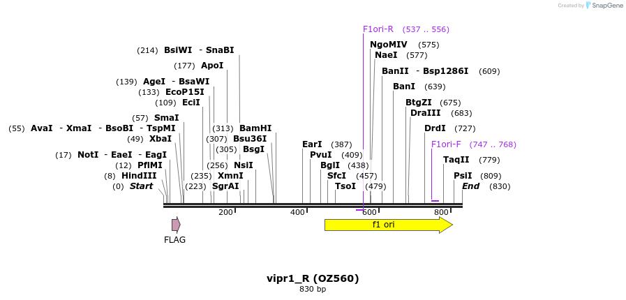 34384_map