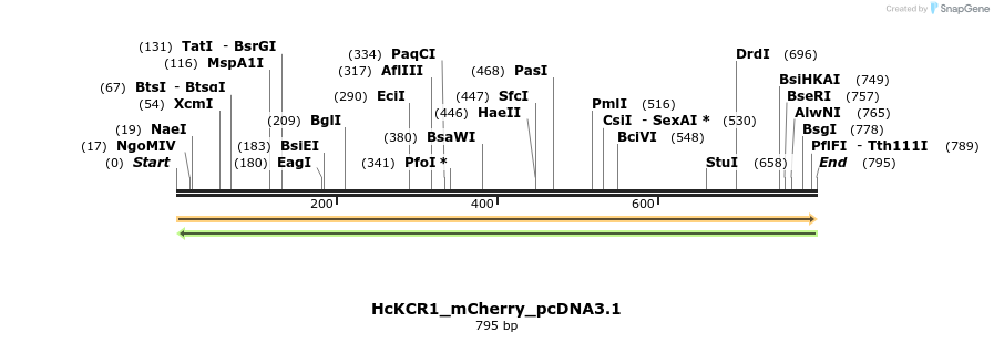 343857_map