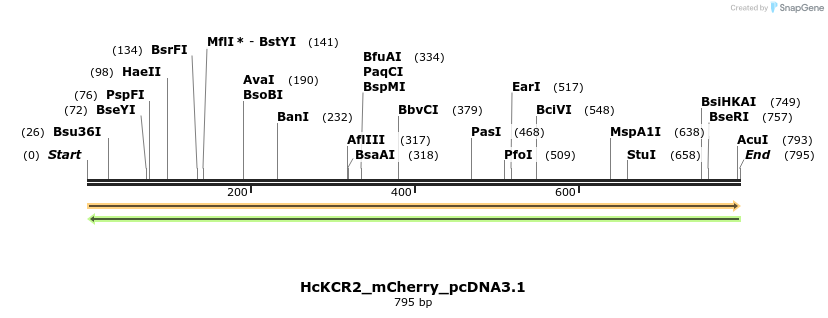 343859_map