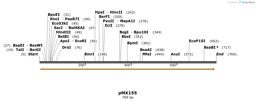 34387_map