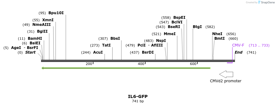 34389_map