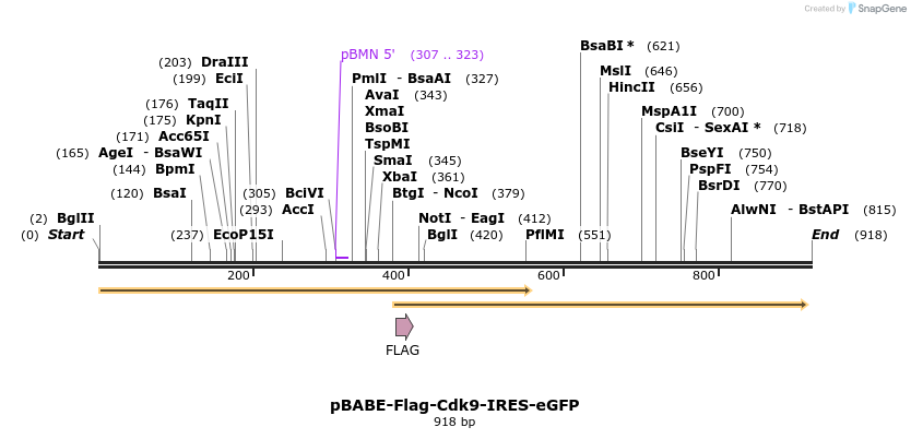 34395_map
