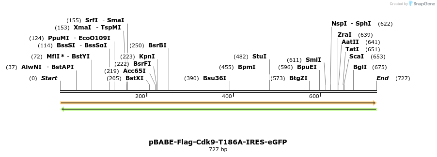 34396_map