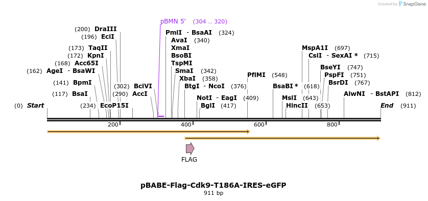 34398_map