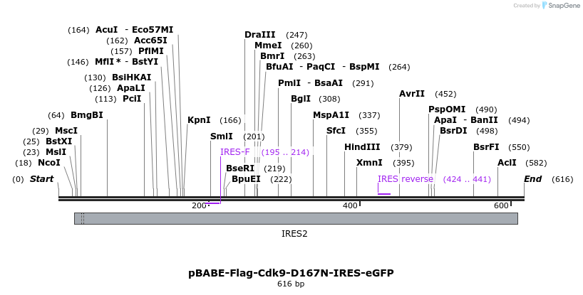 34400_map
