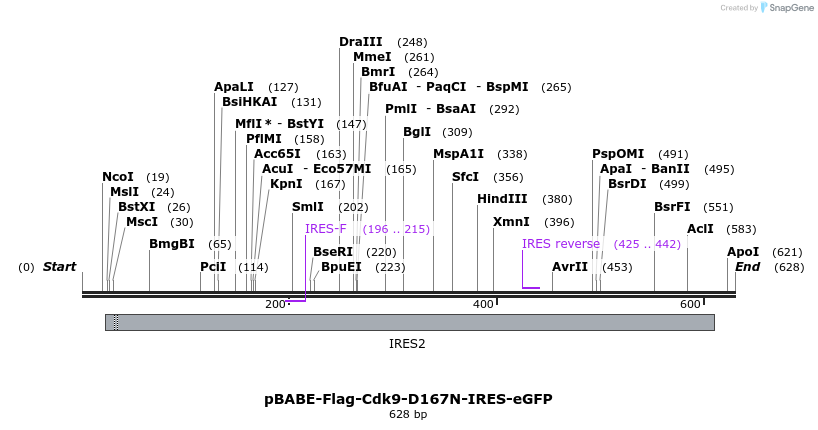 34401_map