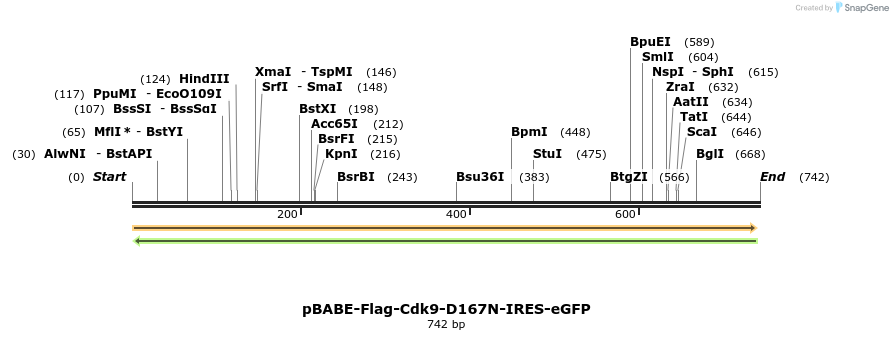34402_map