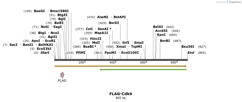 34405_map
