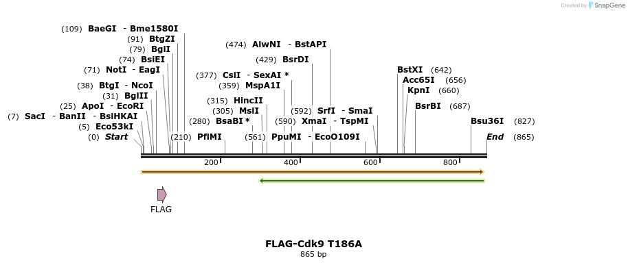 34406_map