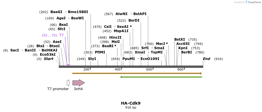 34407_map