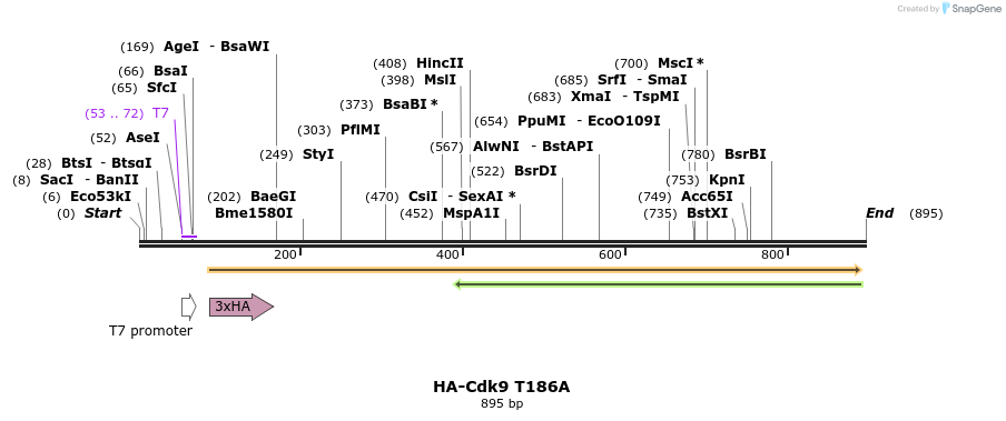 34408_map